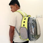 Transparent Pet Carrier Apple Shape