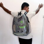 Transparent Pet Carrier Apple Shape