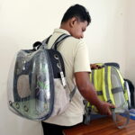 Transparent Pet Carrier Apple Shape