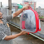 Transparent Cat Carrier Bag Red Color