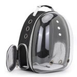 Transparent Cat Carrier Bag Black Color