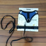 Cat Harness