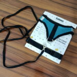 Cat Harness