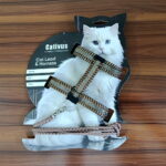 Cat Ornamental Harness